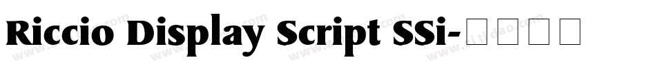 Riccio Display Script SSi字体转换
